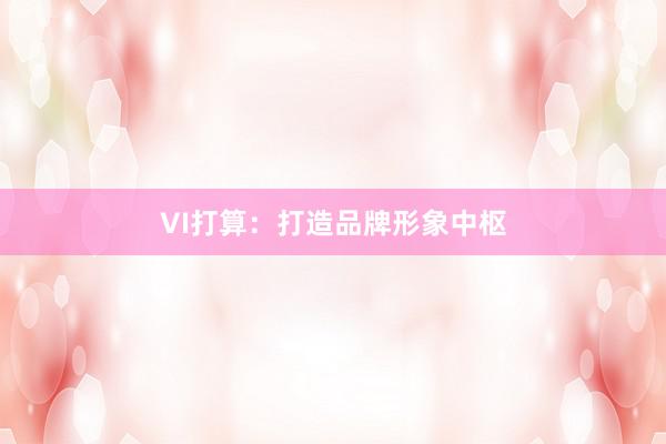 VI打算:打造品牌形象中枢