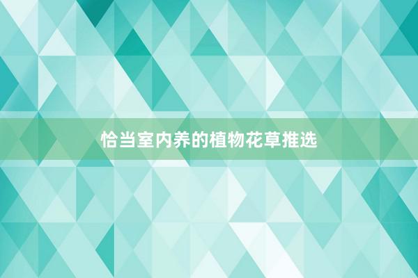 恰当室内养的植物花草推选